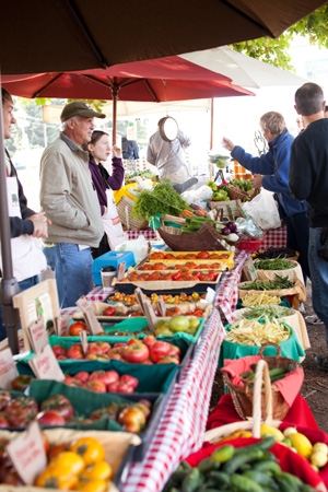 Bayview Farmers Market